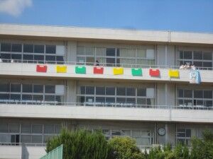 DSC08804