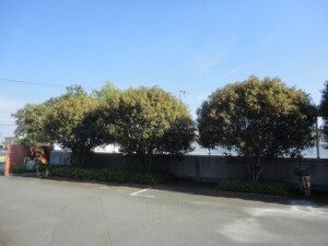 DSC09082