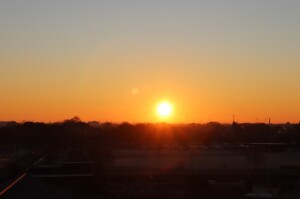 IMG_8478