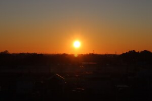 IMG_8486
